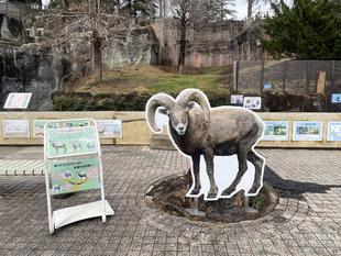 等身大パネルが新しくなりました！