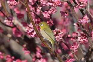 保全チームのおはなし　3
