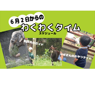 6月2日からの「わくわくタイム（飼育員ガイドや、ヤギのおやつタイム）」
