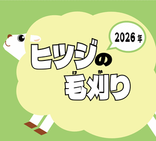 🐑🐑ヒツジの毛刈り2026🐑🐑