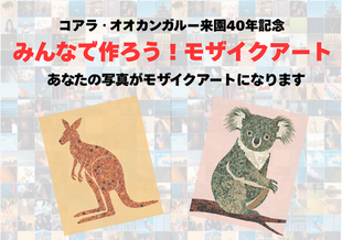 【写真募集】コアラ・オオカンガルー来園40年記念「みんなで作ろう！モザイクアート」