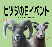 ヒツジの日イベントの画像