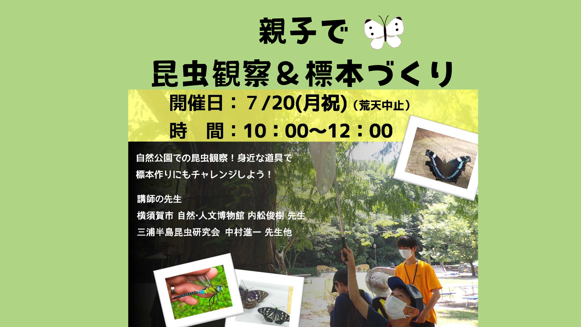  身近ないきものを知ろう！～親子で昆虫観察＆標本づくり～2026 　参加者募集の写真