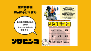 横浜市立金沢動物園＆WoWキツネザル「ゾウビンゴ」