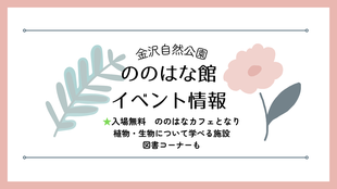 ののはな館 イベント情報　6月1日更新