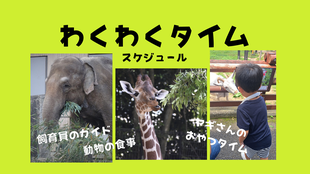 「わくわくタイム（飼育員ガイドや、ヤギのおやつタイム）」