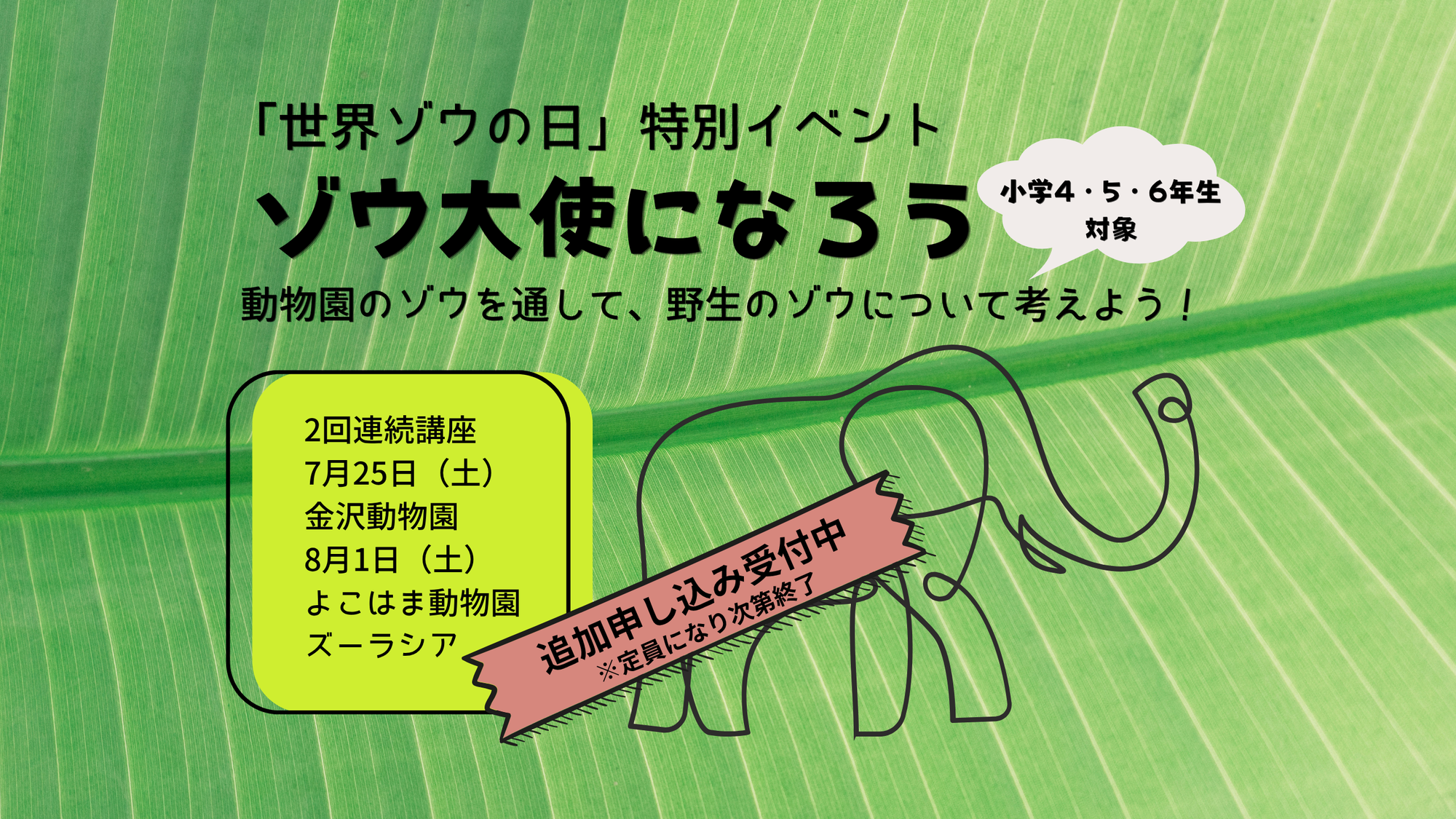 ★追加募集【事前申込企画】🐘世界ゾウの日特別イベント「ゾウ大使になろう」2026🐘の写真