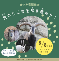  【事前申込企画】夏休み宿題教室「角のヒミツを解き明かせ！」の画像