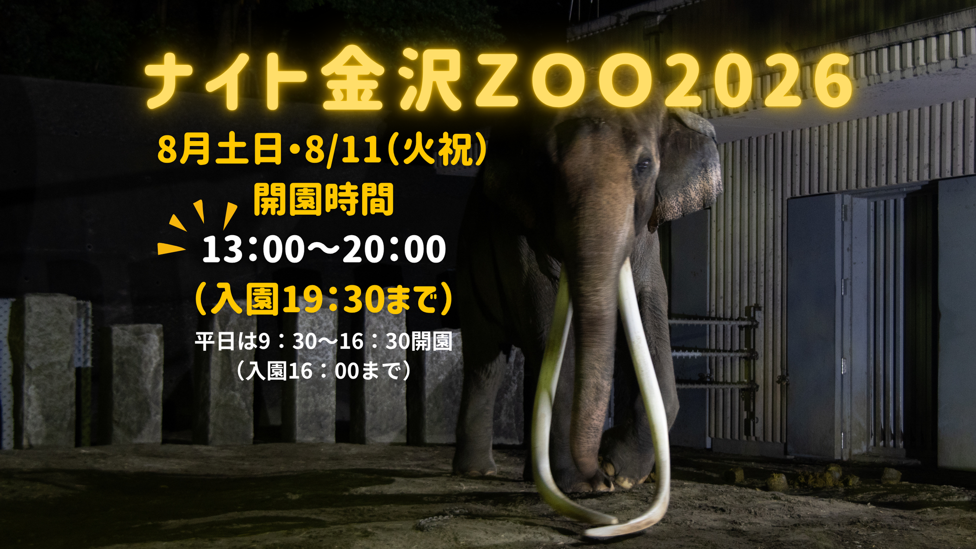 ★☆ナイト金沢ZOO 2026☆★の写真