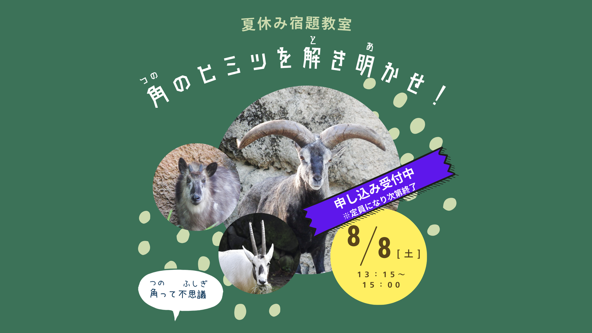  【事前申込企画】夏休み宿題教室「角のヒミツを解き明かせ！」の写真