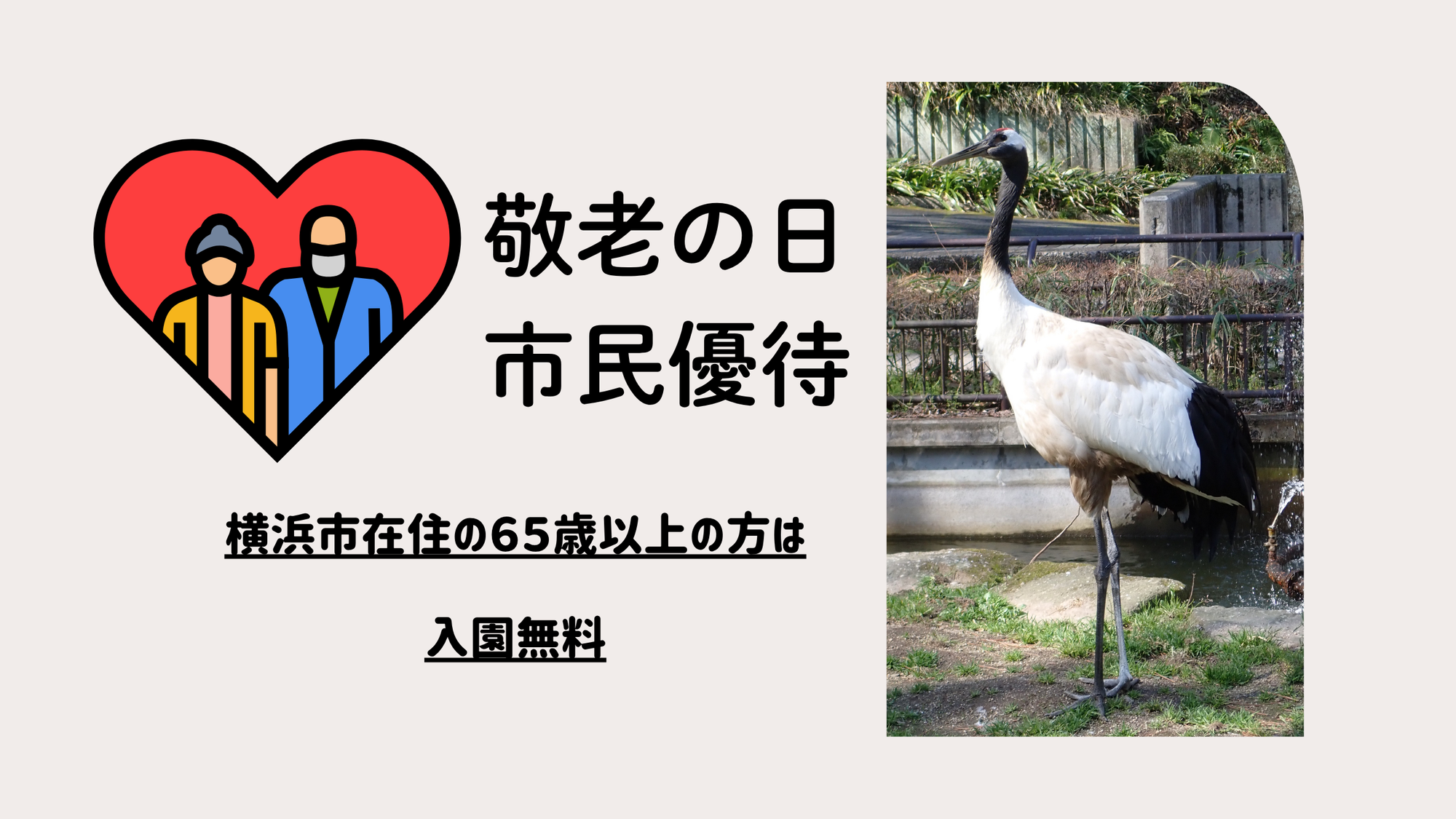  「敬老の日」市民優待利用についての写真