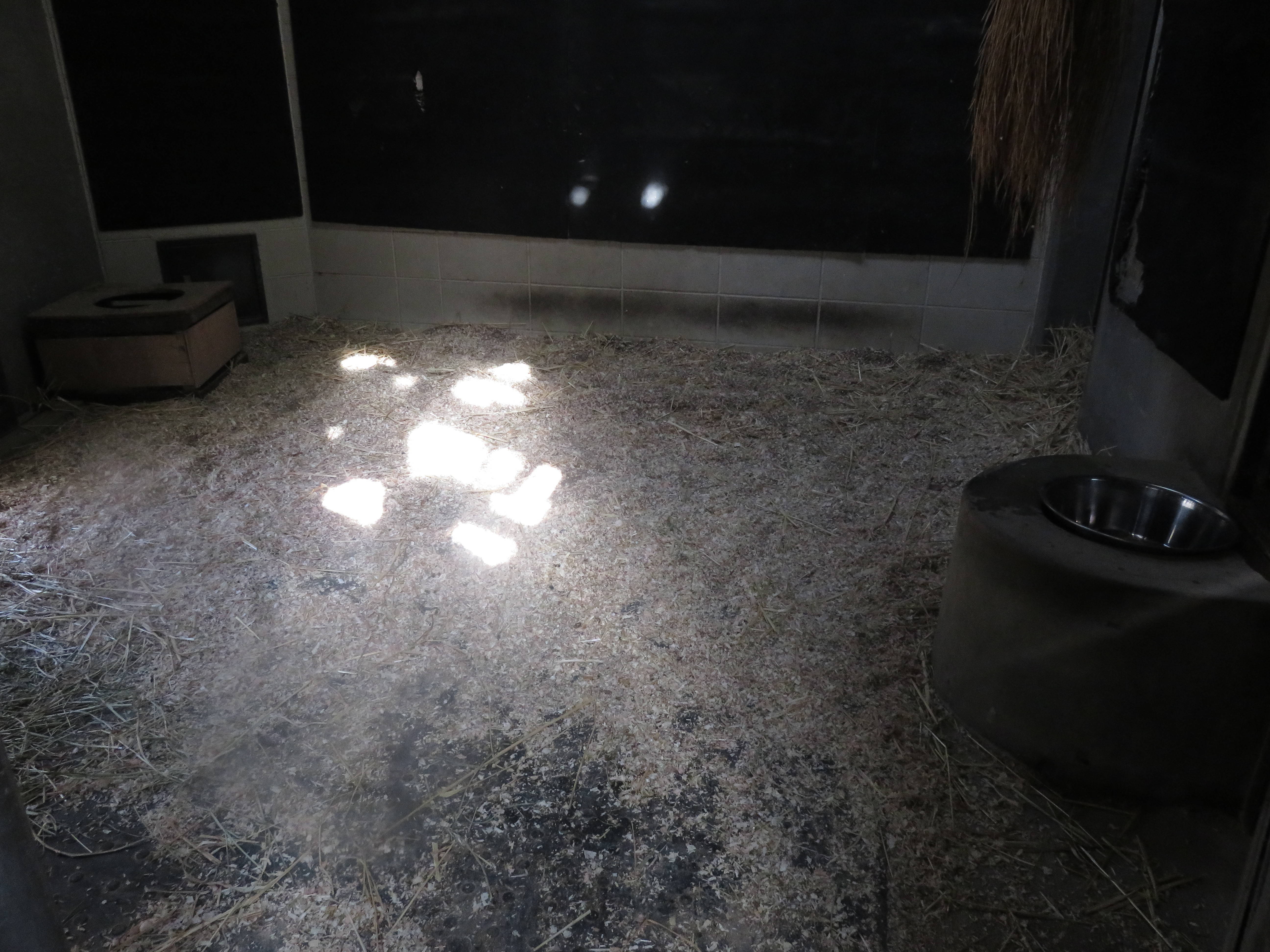 20151028 寝室内.jpg