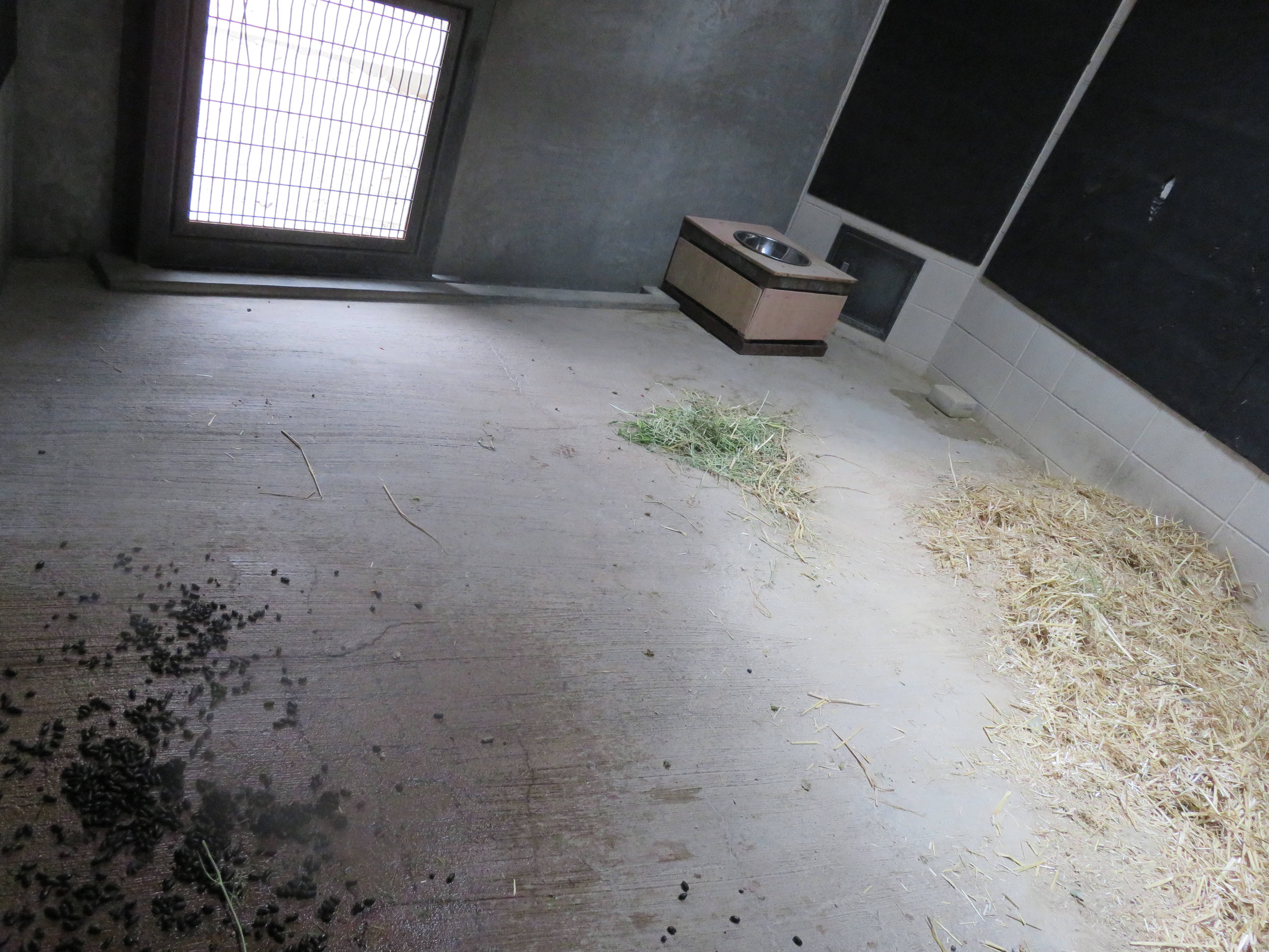 20150411 寝室内.jpg