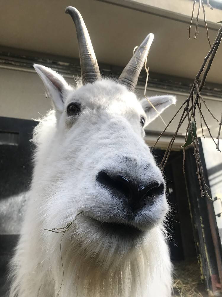 ko190324-penke (1).jpg