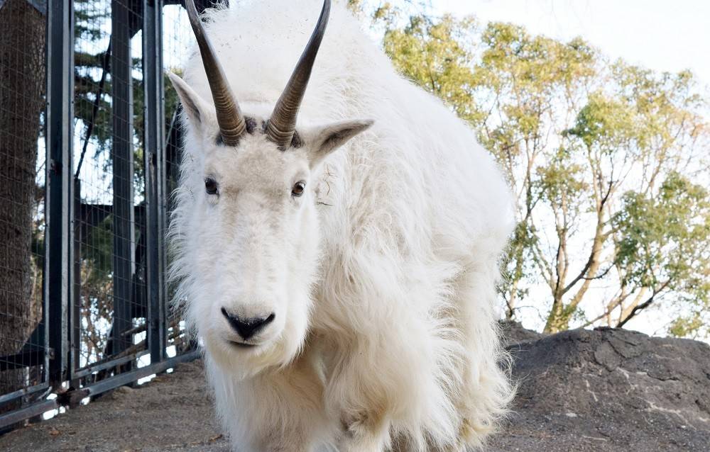 ko190324-penke (2).jpg