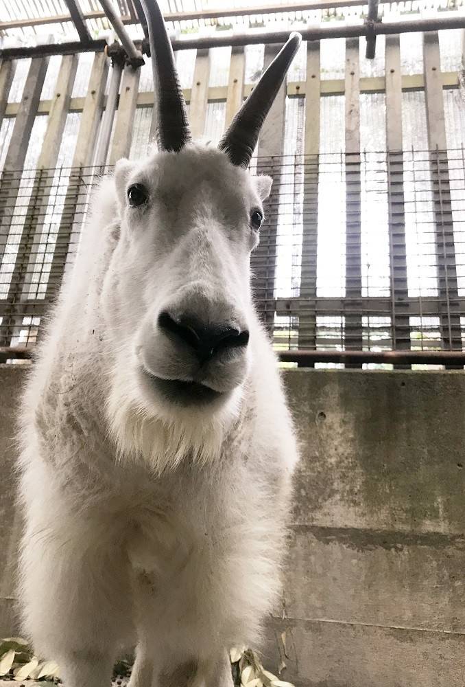 ko190324-penke (3).jpg