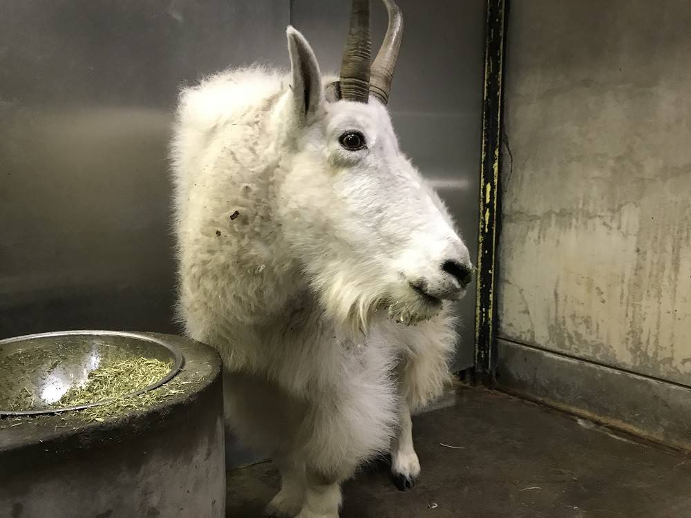 ko190324-penke (6).jpg