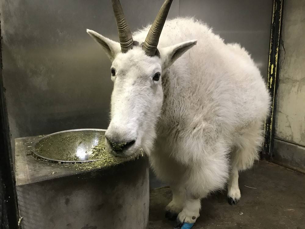 ko190324-penke (7).jpg