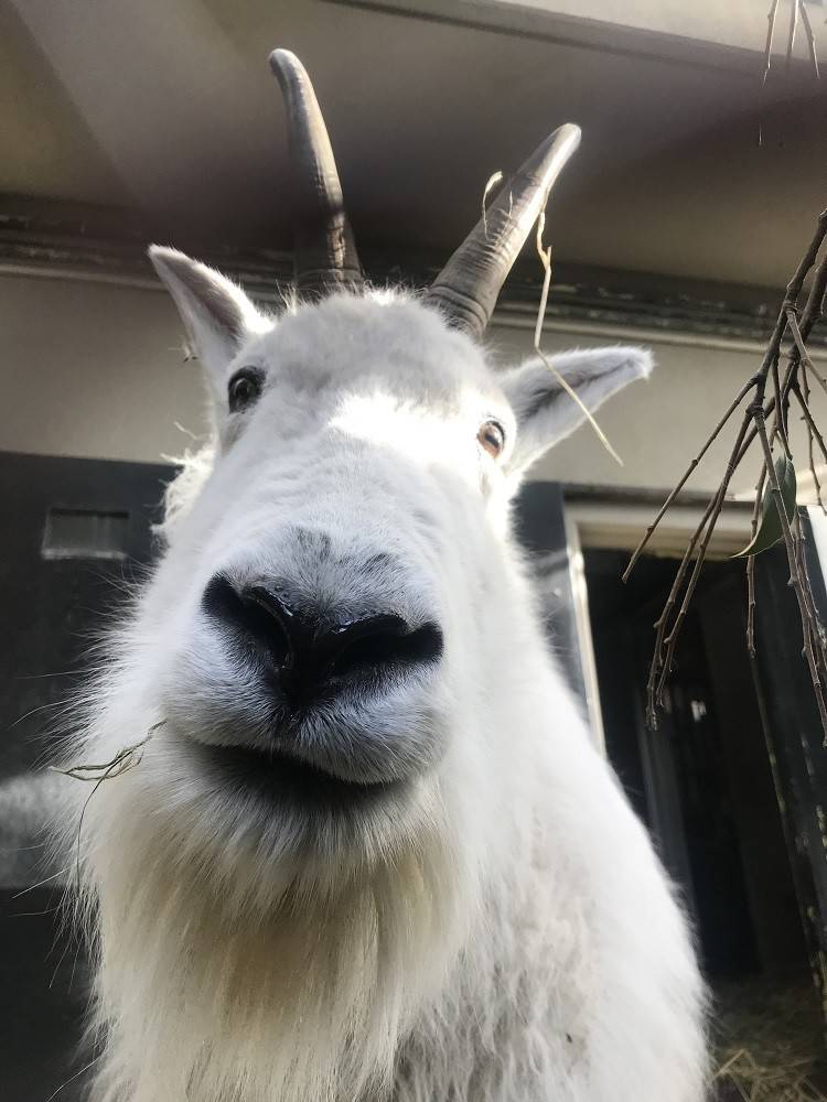 ko190324-penke (8).jpg