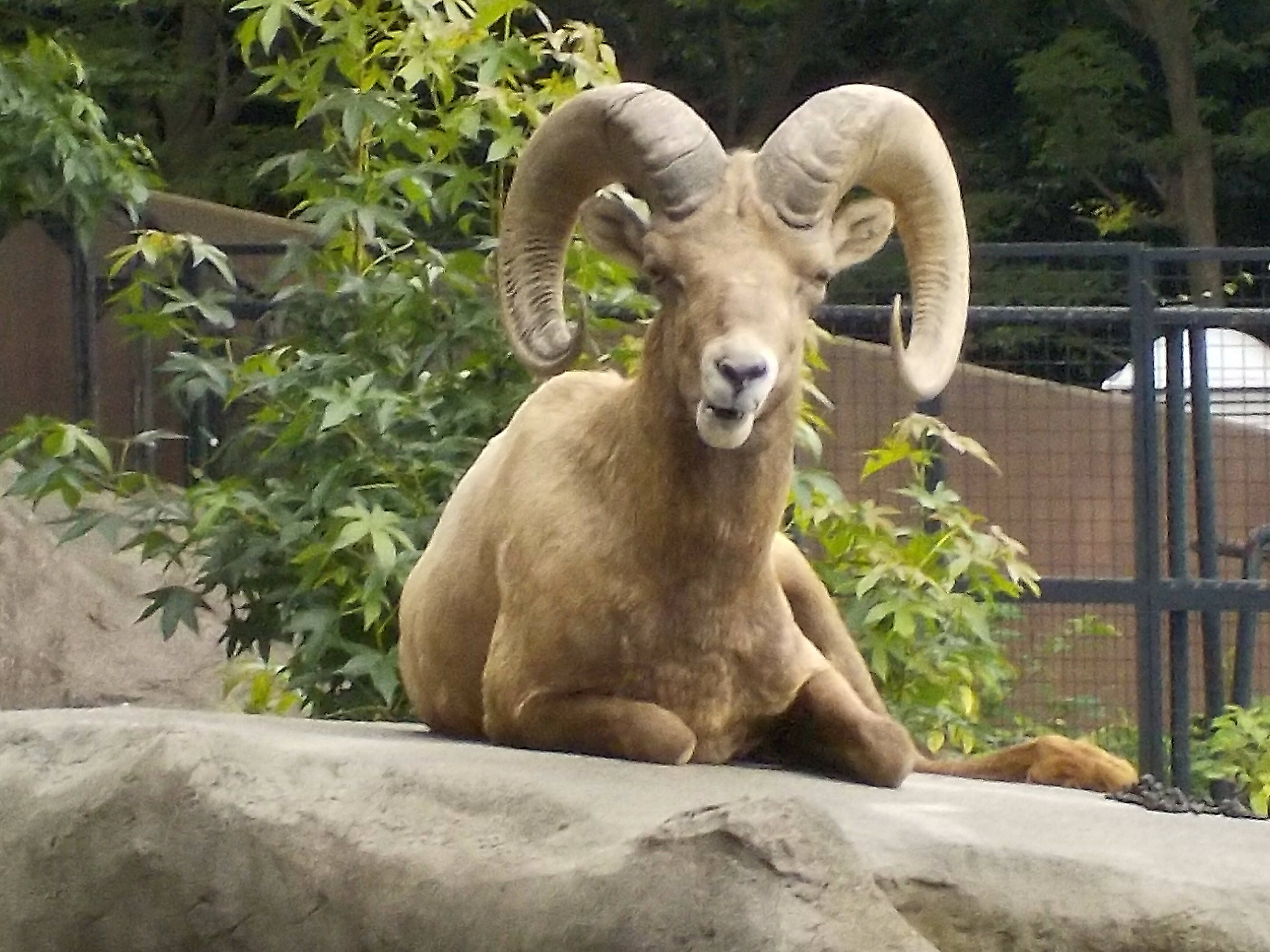 「あれが、ついに・・・・！」 ④.jpg