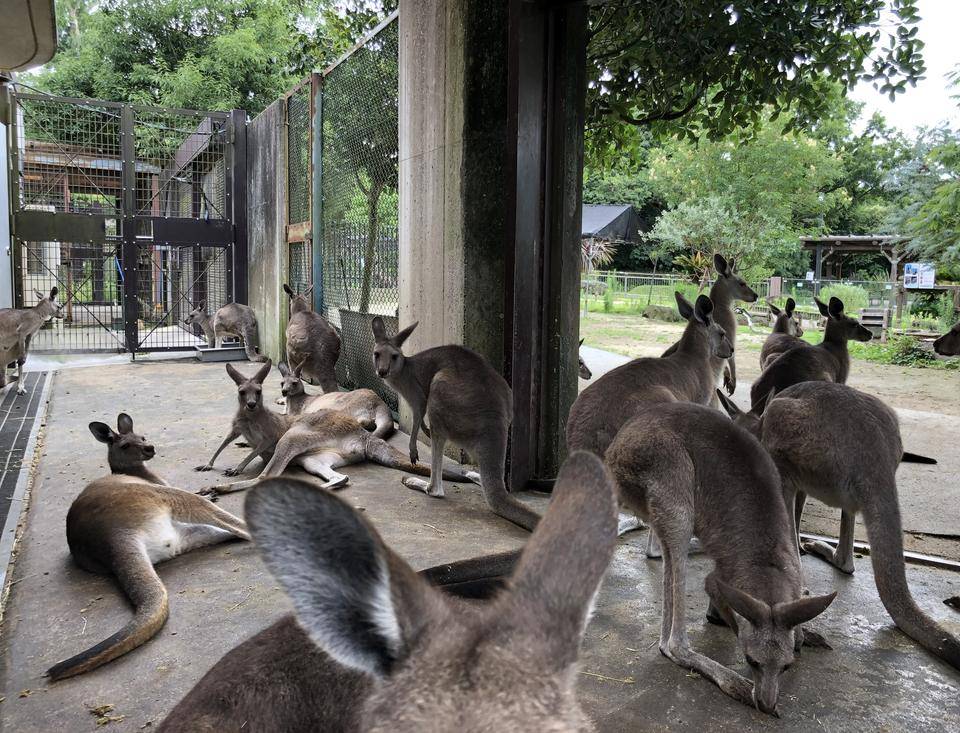 サブ3.jpg