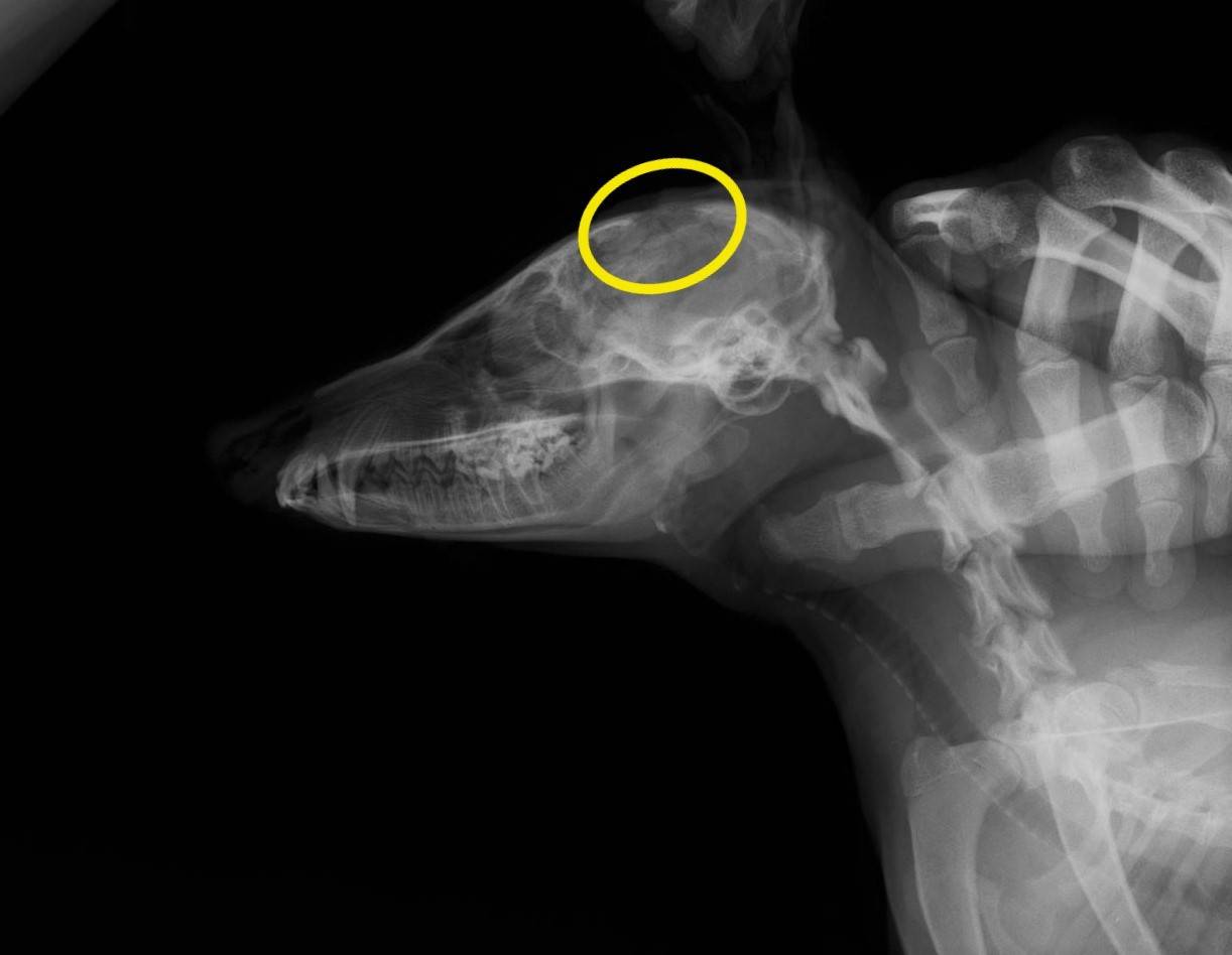 こぼれ話若い力写真②