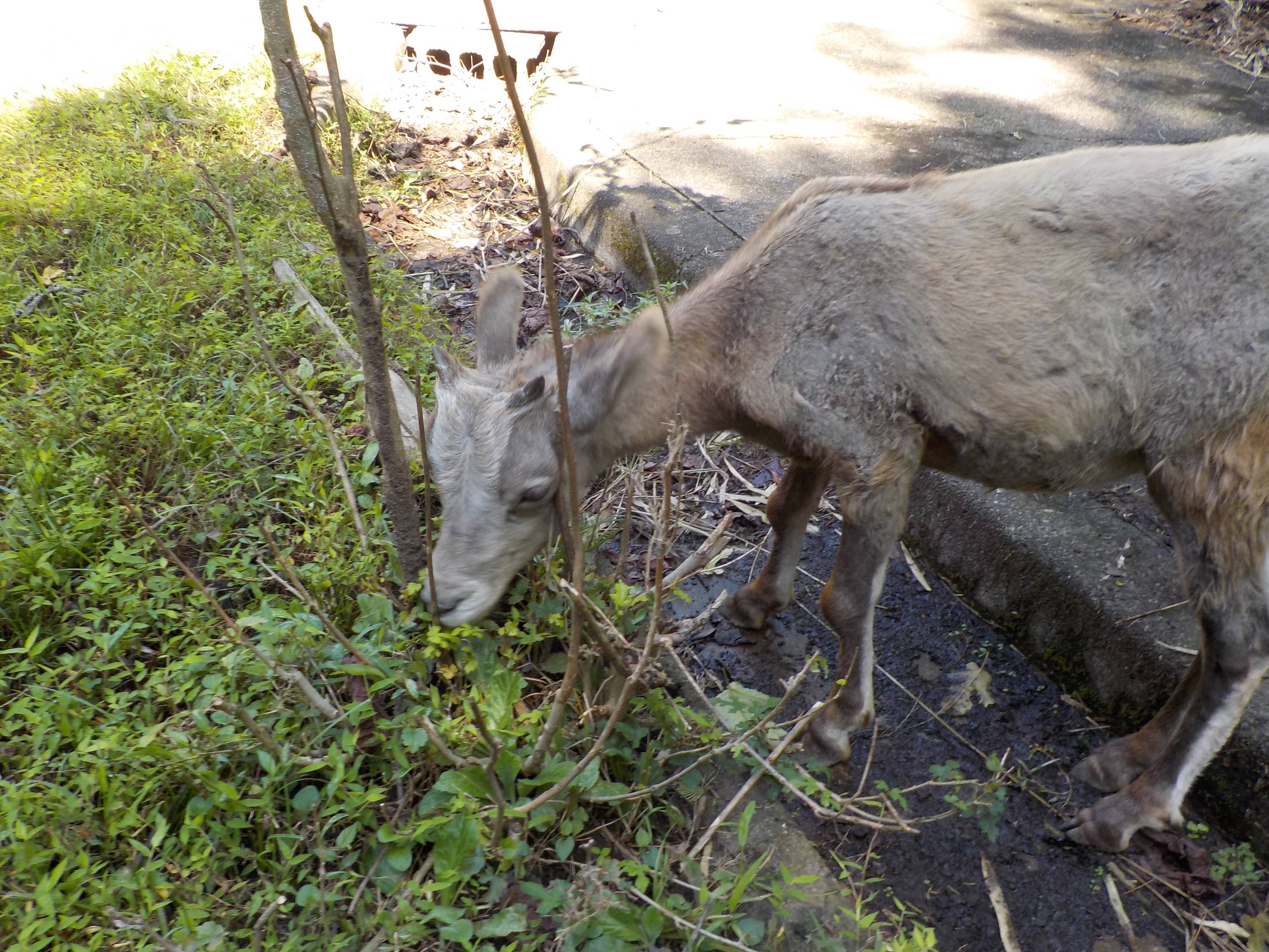 タイヨウ  (2).jpg