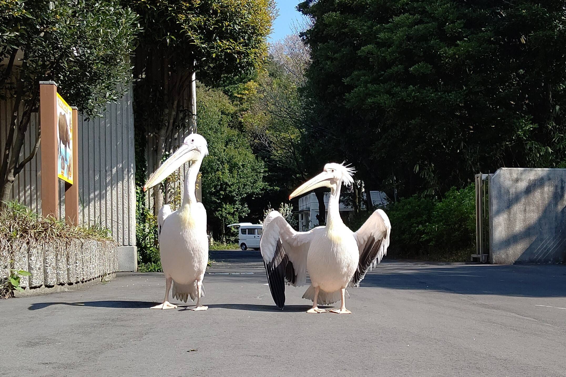 行きますよ こぼれ話 金沢動物園公式サイト 公益財団法人 横浜市緑の協会