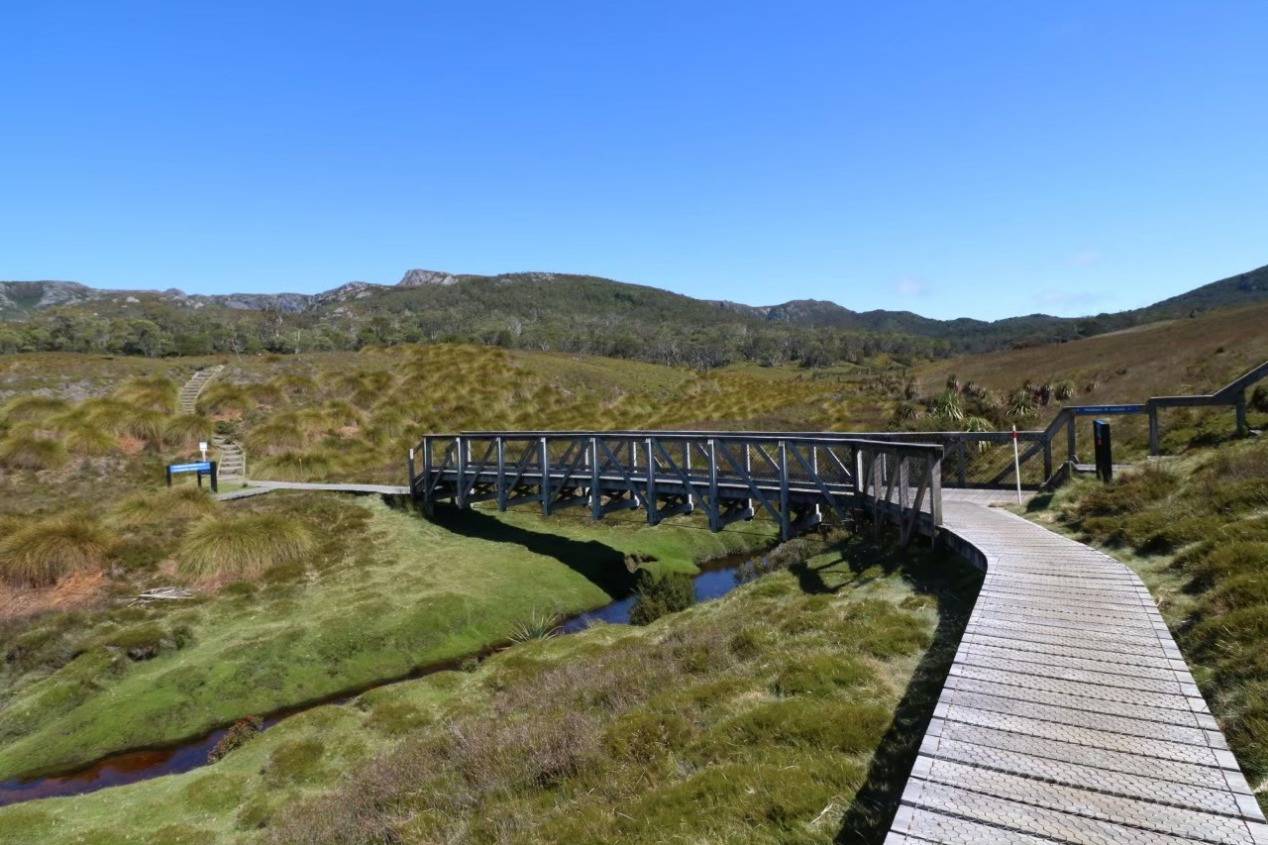 写真① トレッキング.jpg