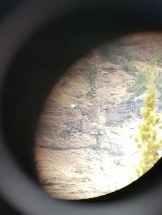 スコープ シロイワ.jpg