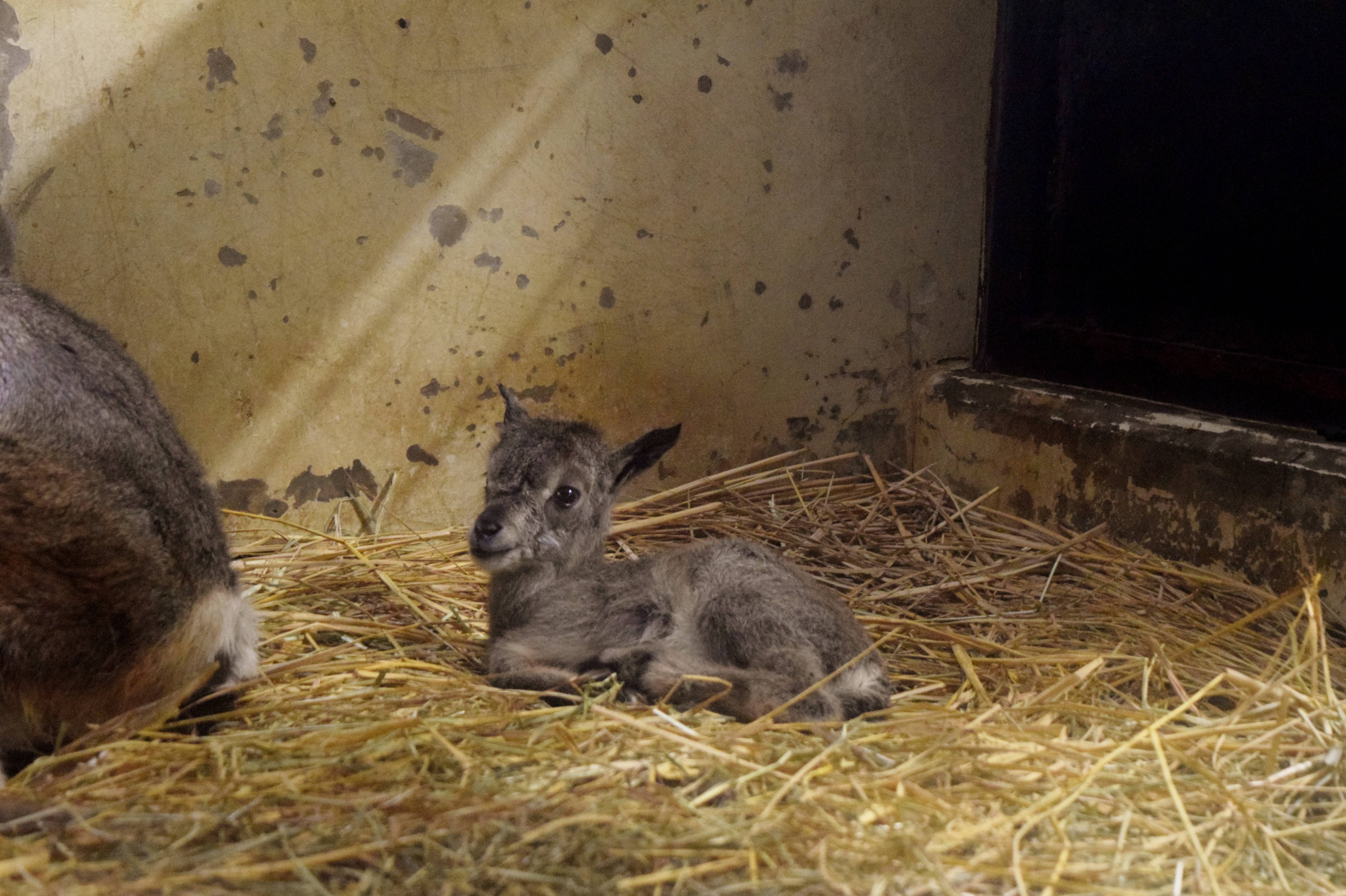 クー誕生日 小.jpg