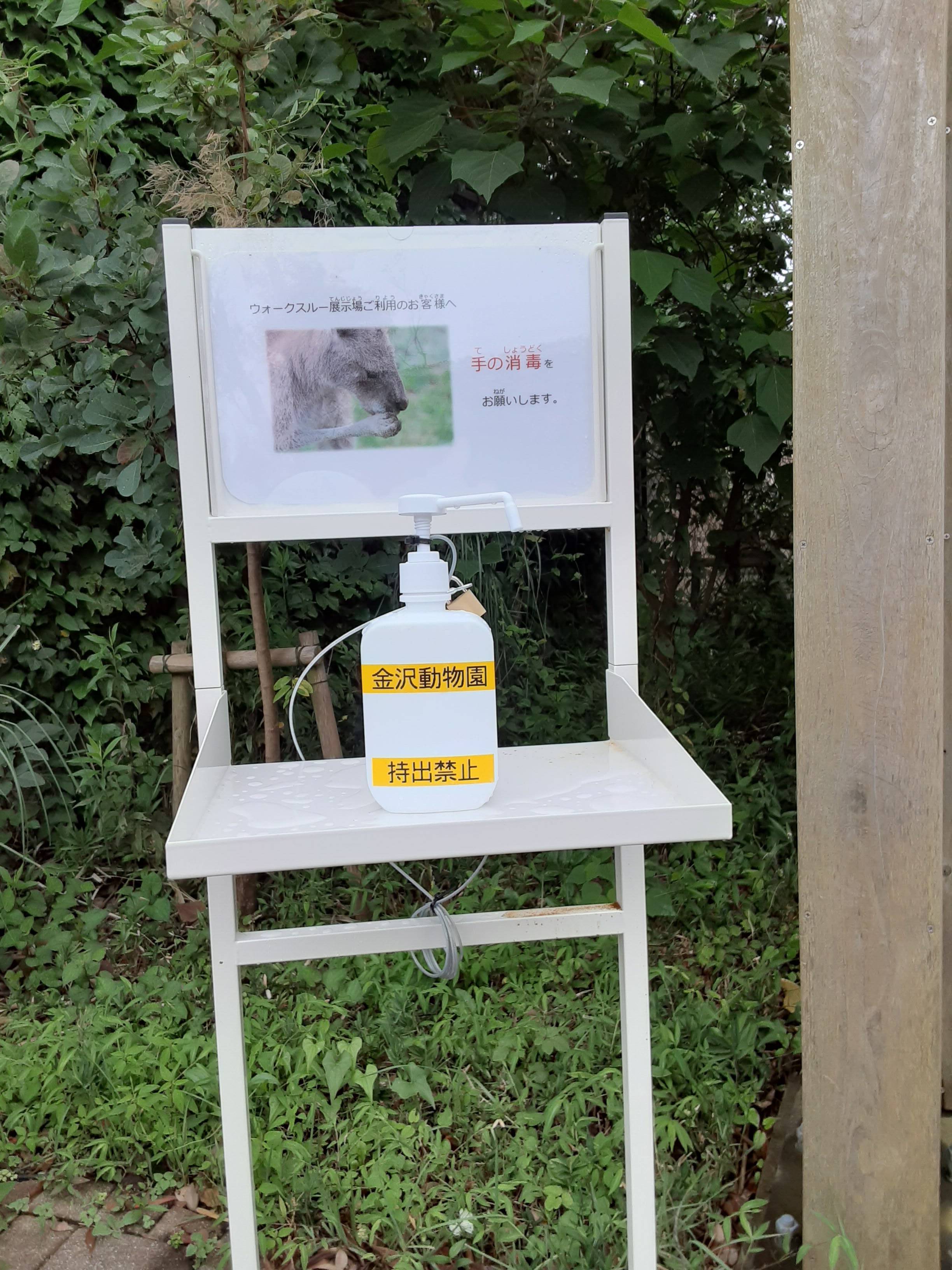 朗報 ウォークスルー再開します③.jpg