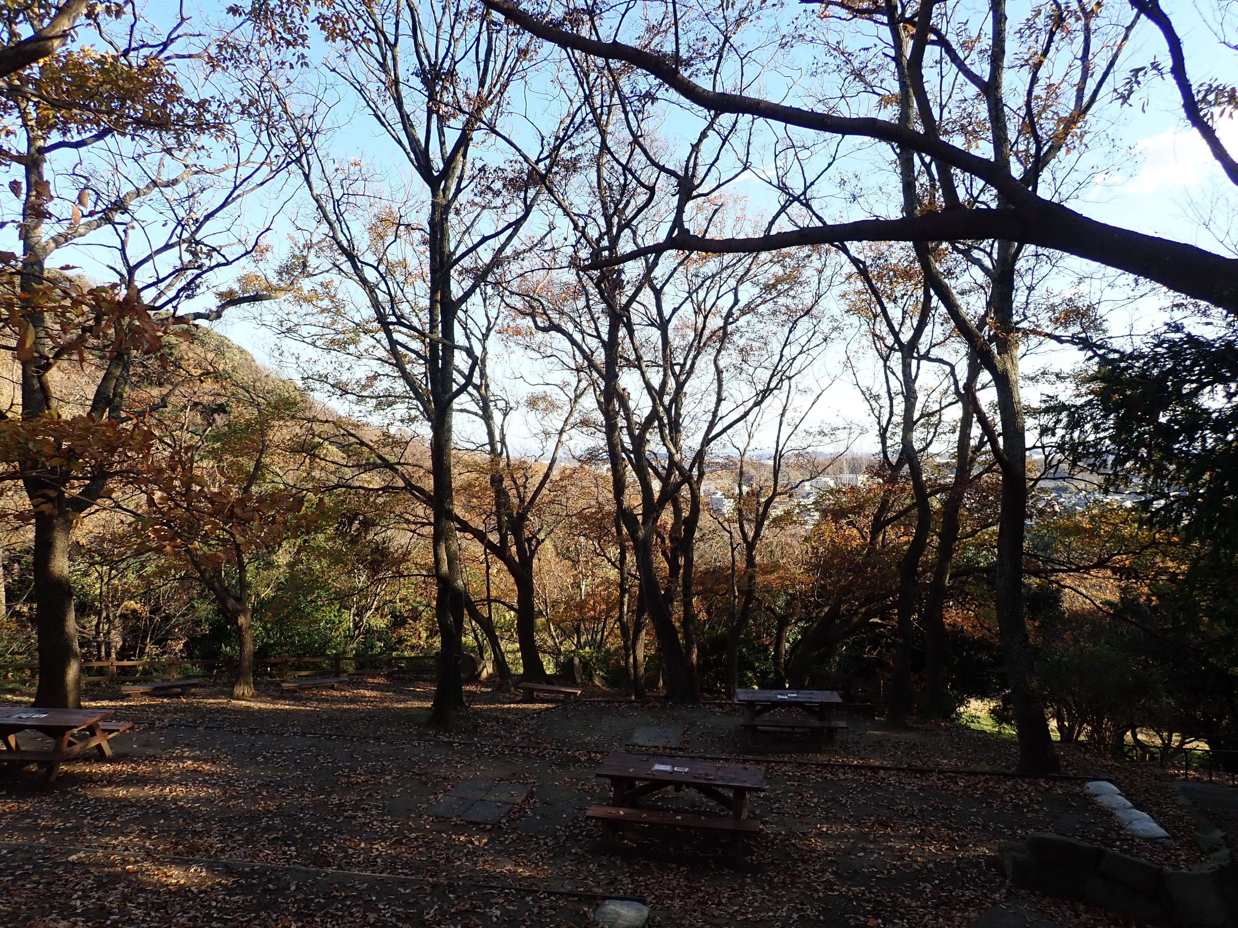 ha20181220-7⑦18.12.19明るくなったBQ場.jpg