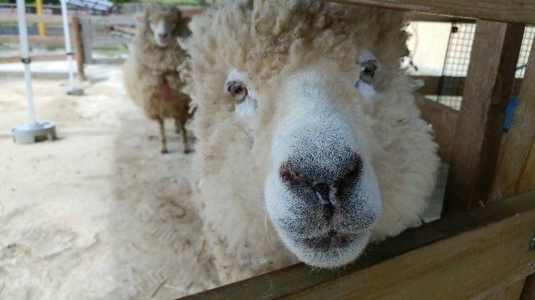 20180412_100541 (002).jpg