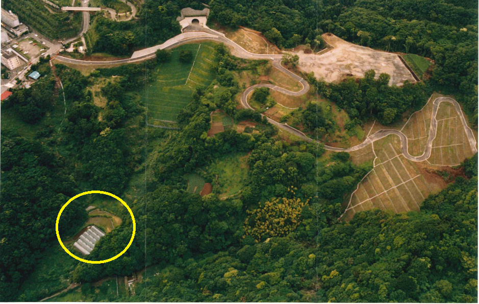 昔の航空写真 田んぼ.png