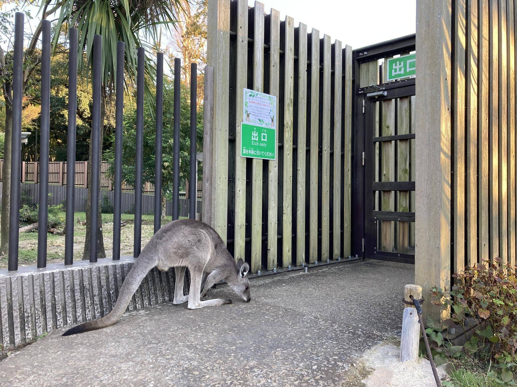 出口扉を通せんぼ.jpg