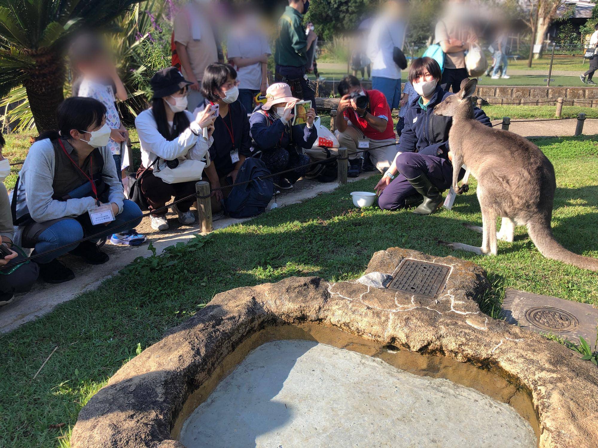 カンガルー展示場2.jpg