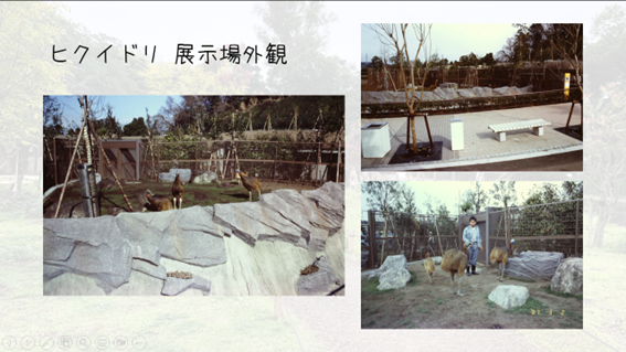 ヒクイドリ展示場.png