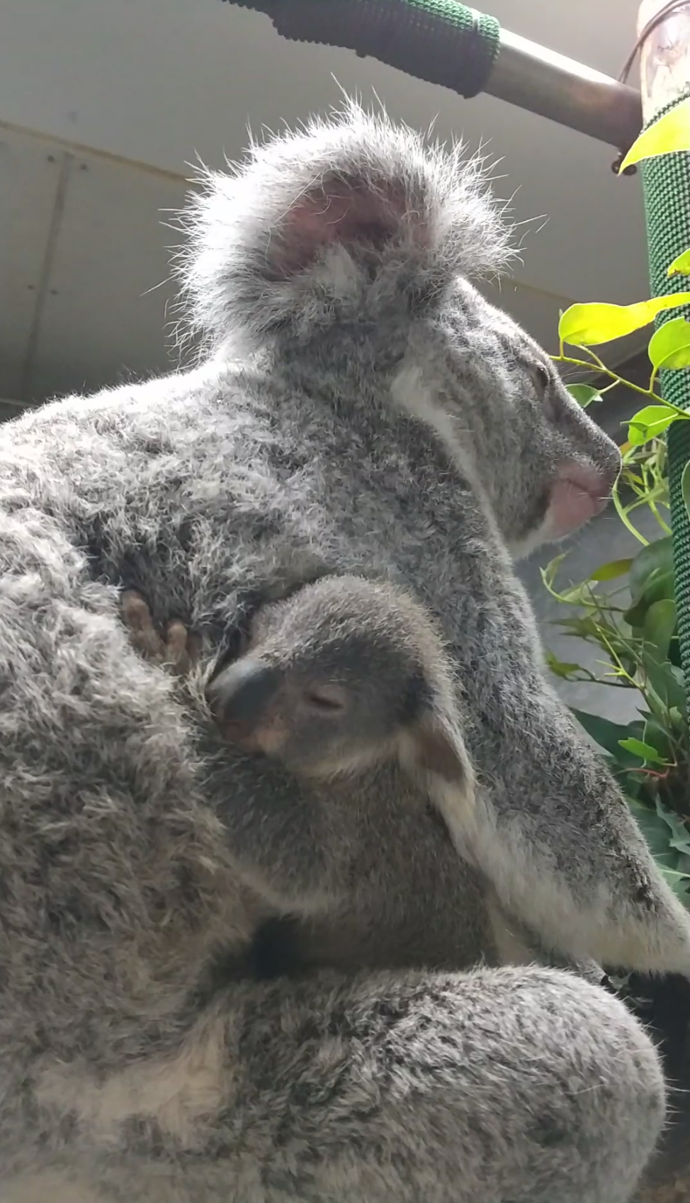 Screenshot_20221122-124200 (002)1.png