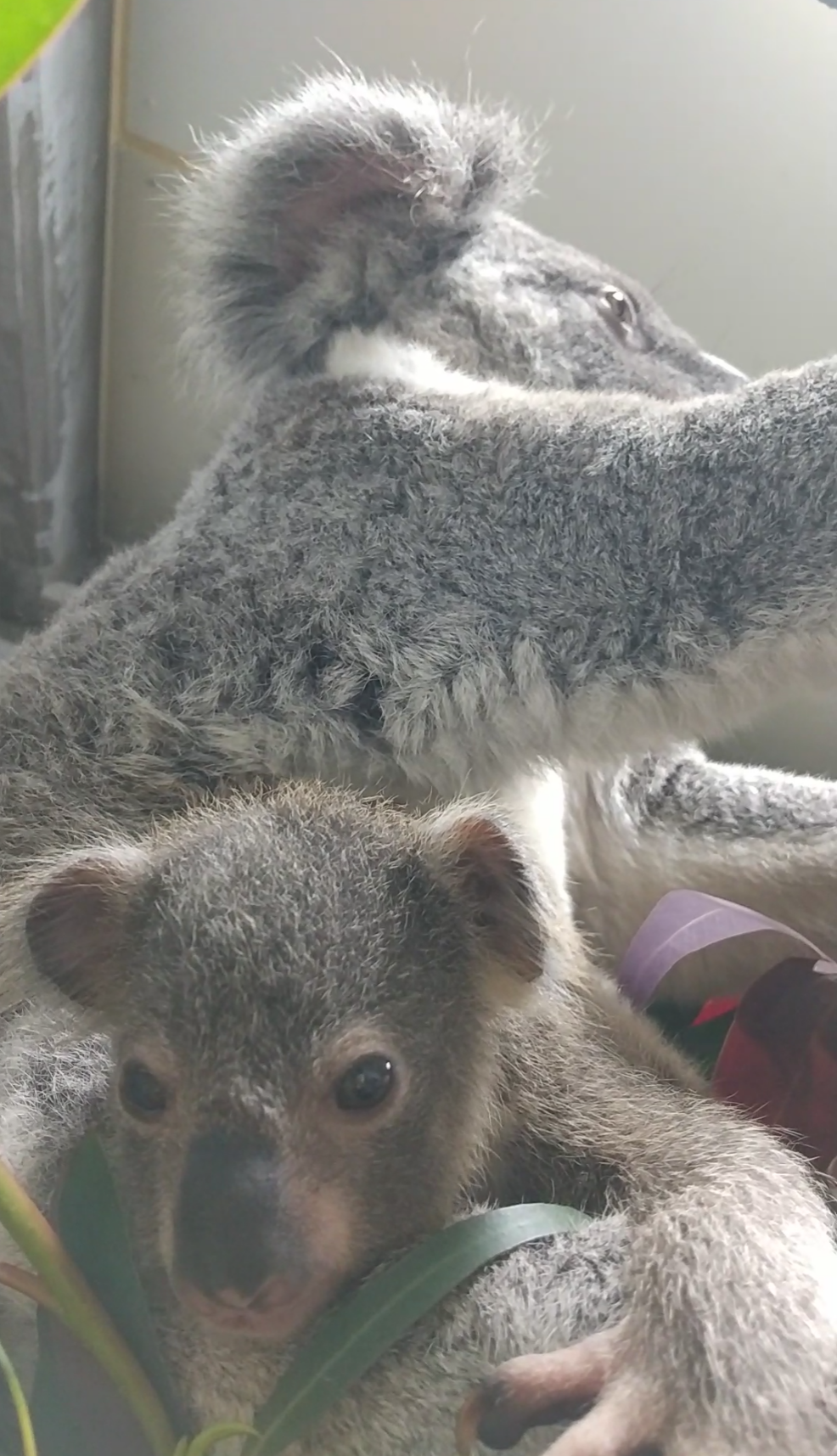 Screenshot_20221125-174155 (002)1.png