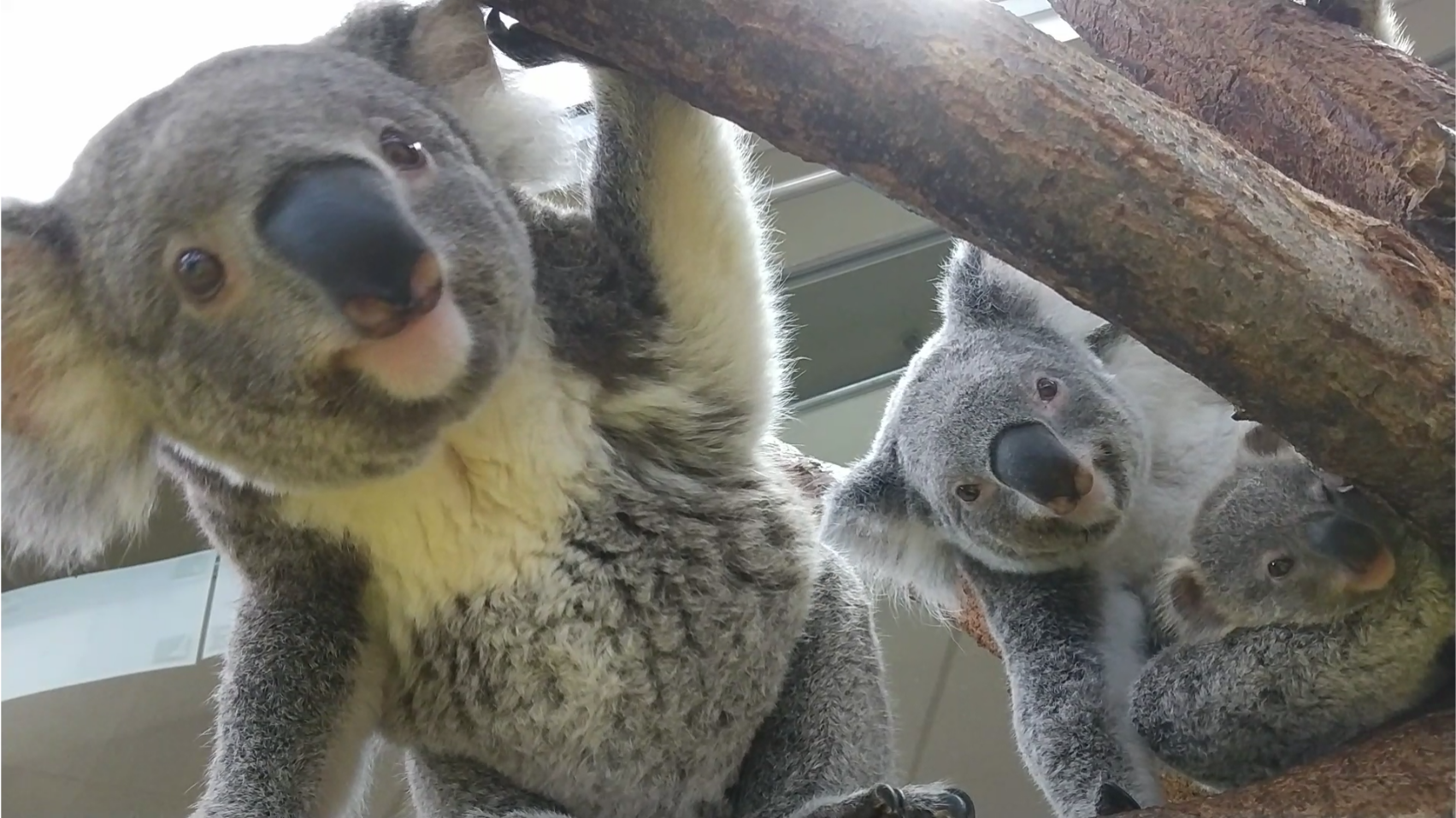 Screenshot_20220718-172240 (002).png