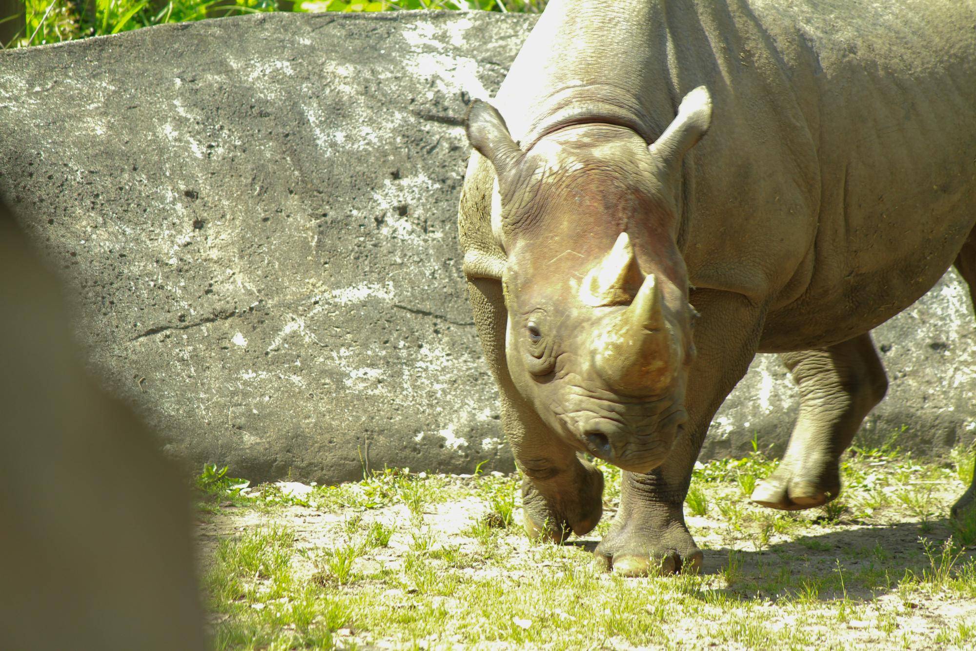 IMG_2405 - コピー.jpg