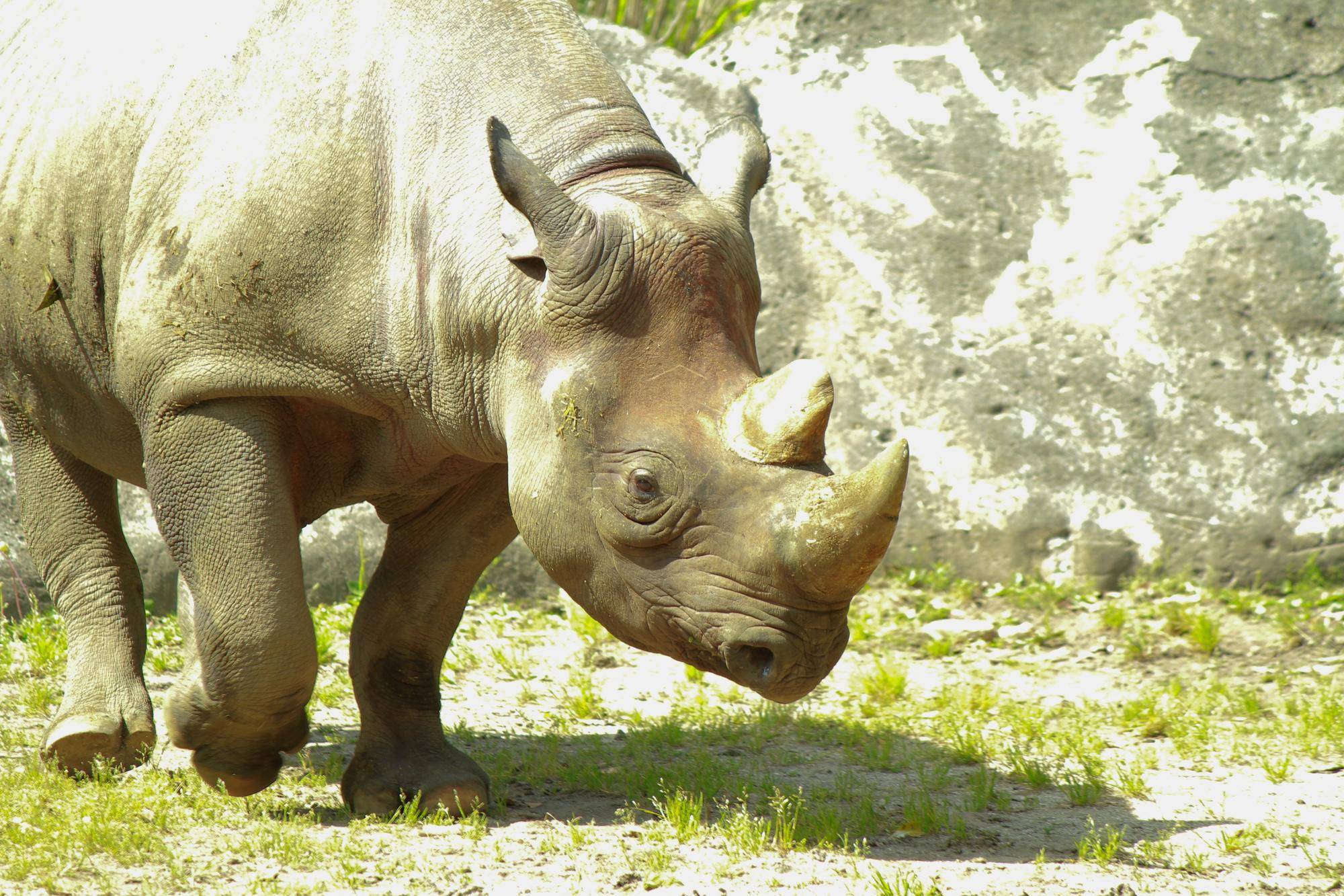 IMG_2408 - コピー.jpg