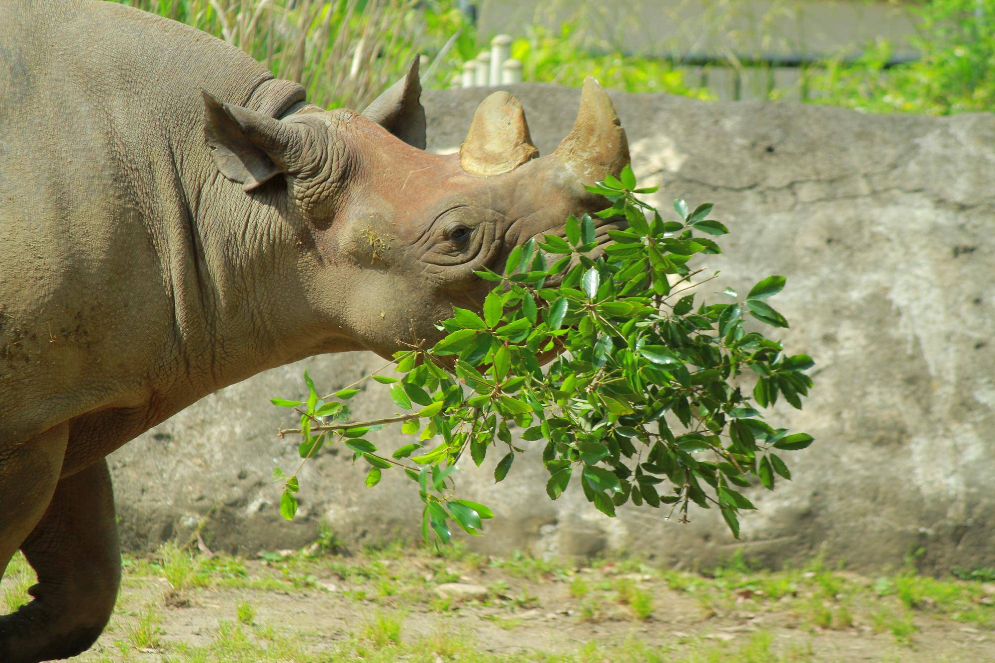 IMG_2447 - コピー.jpg