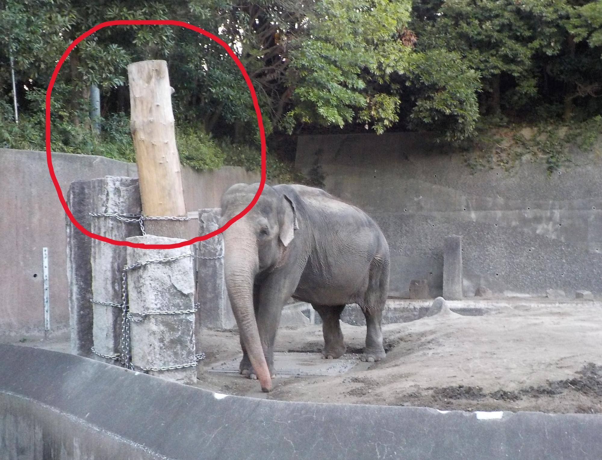 使用後 - 赤丸.jpg