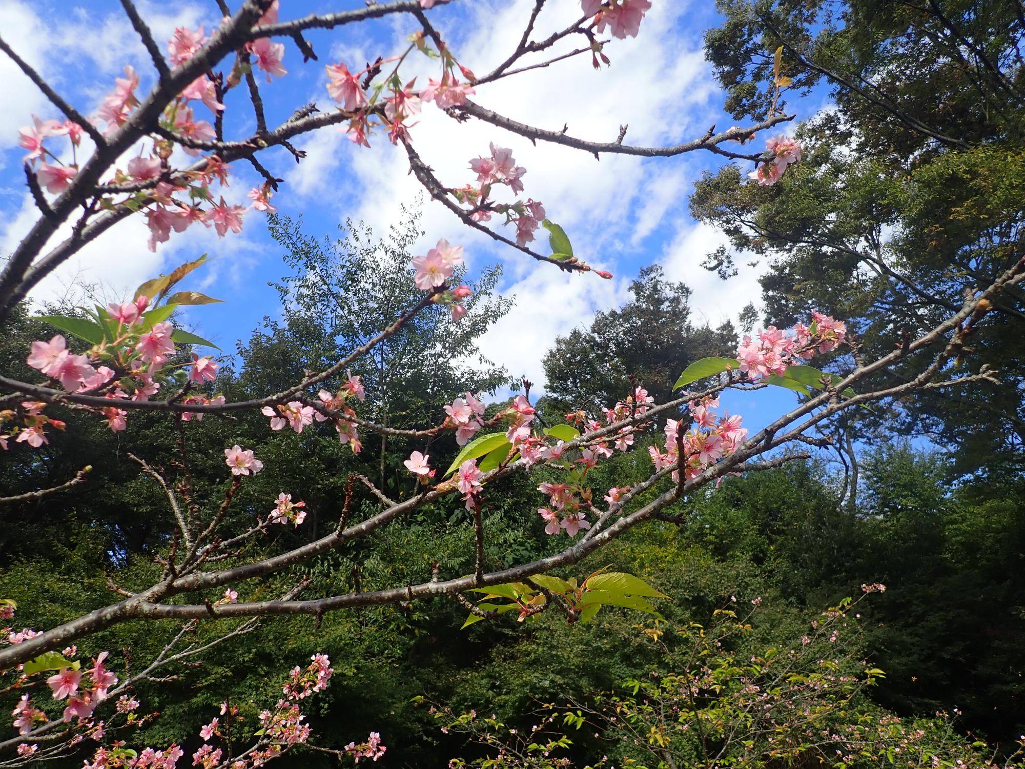 写真②.jpg