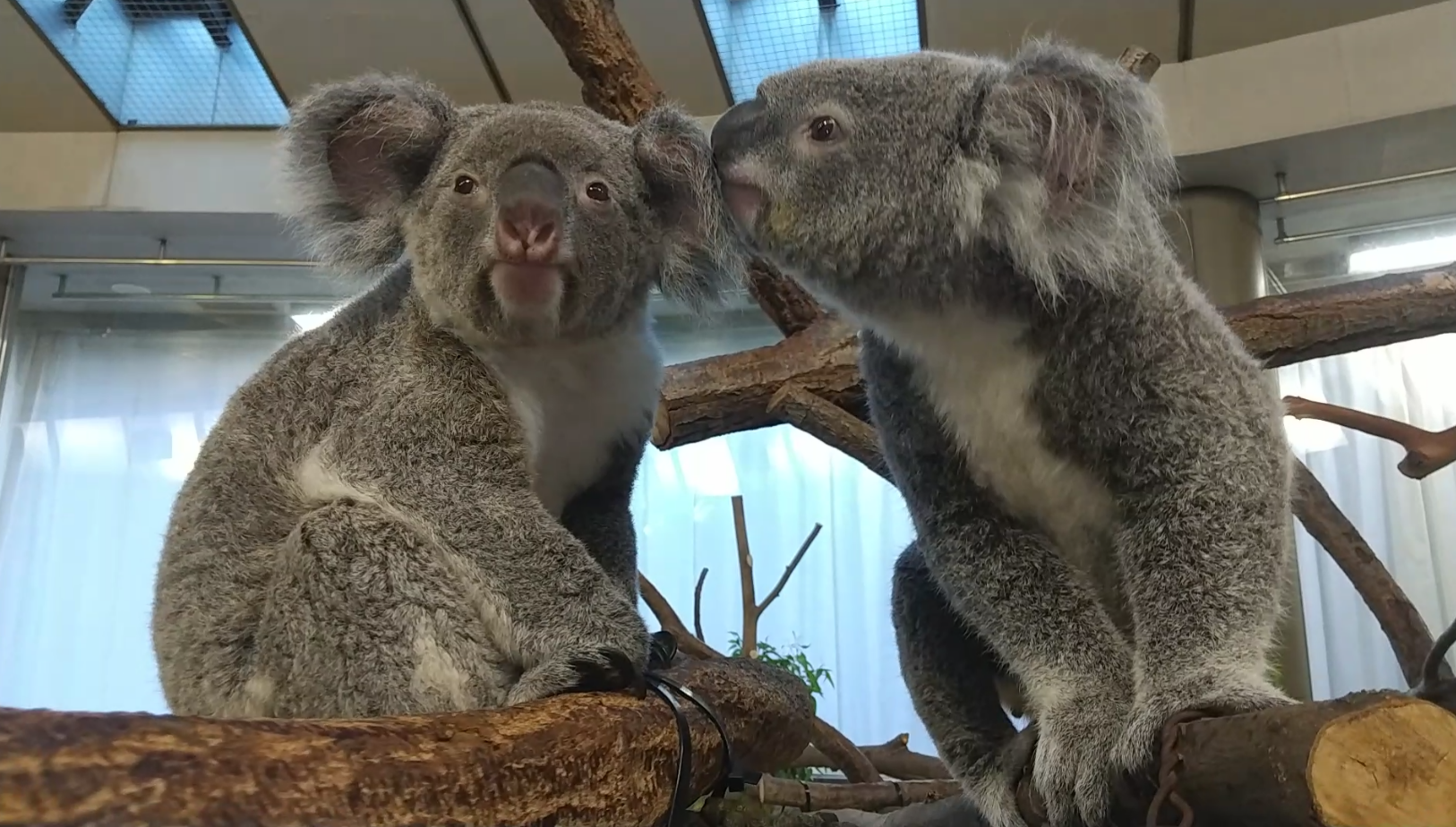 Screenshot_20231118-152635 (002).png