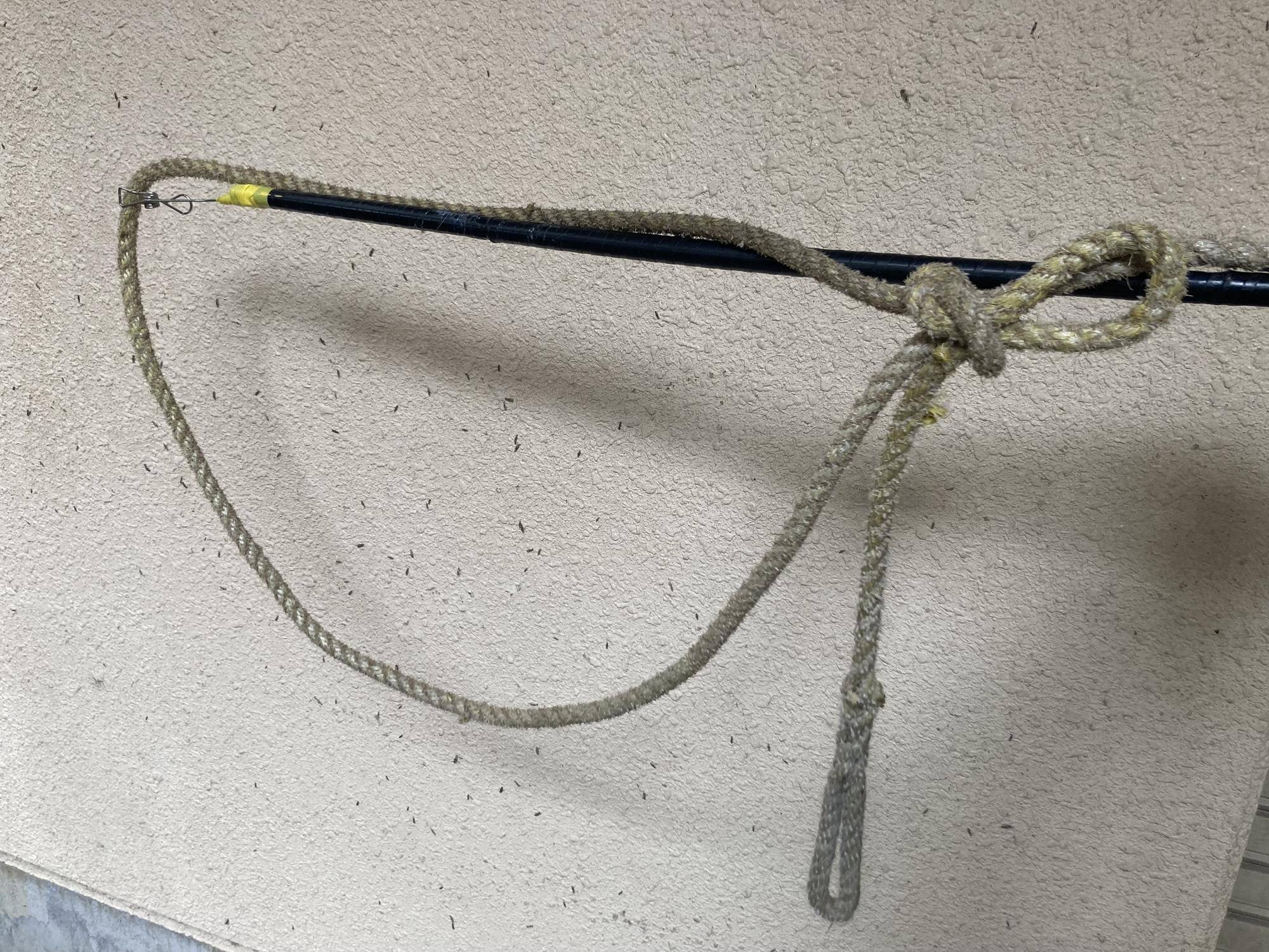 ロープ.jpg