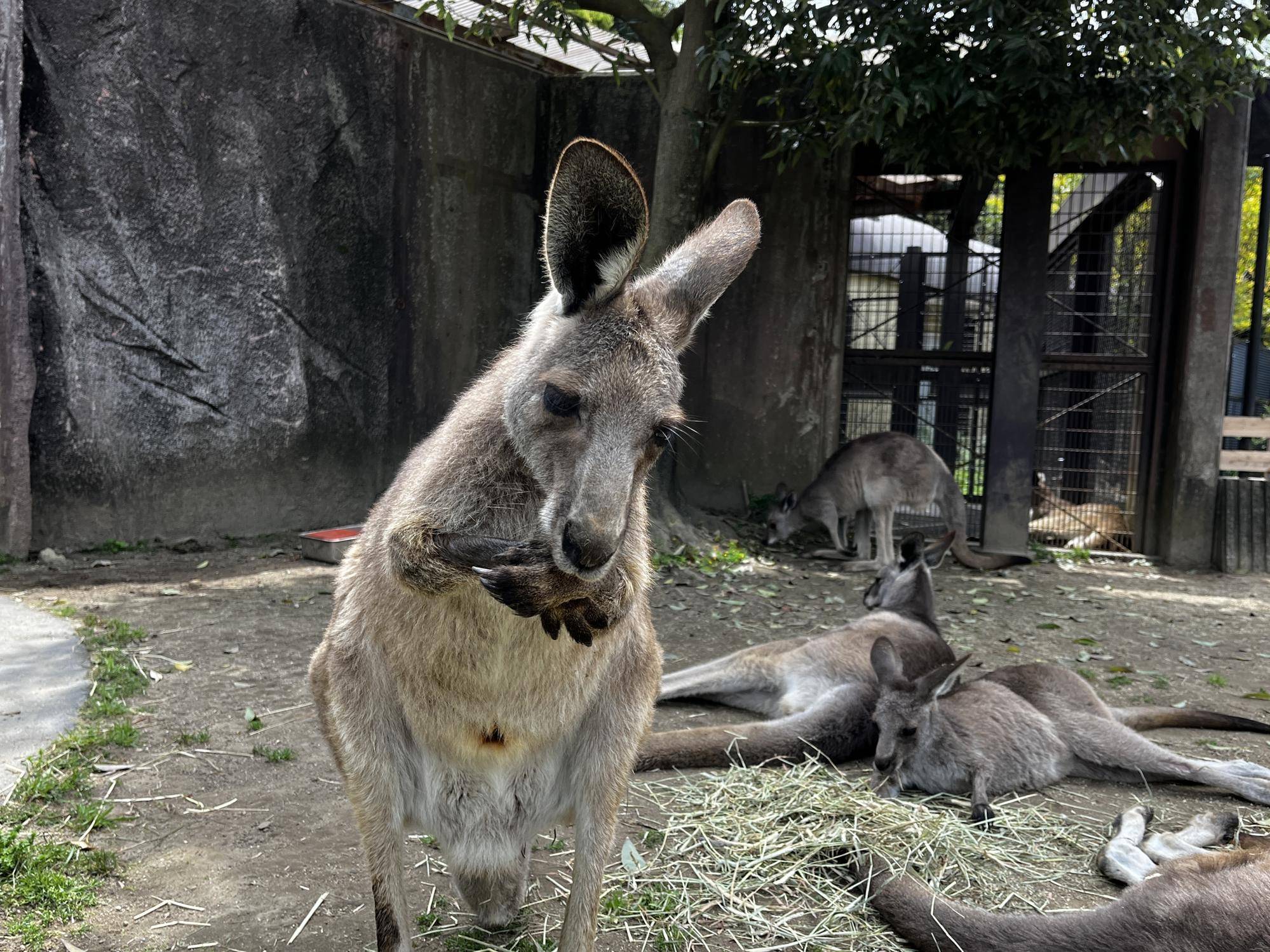 ドリーム (3).jpg