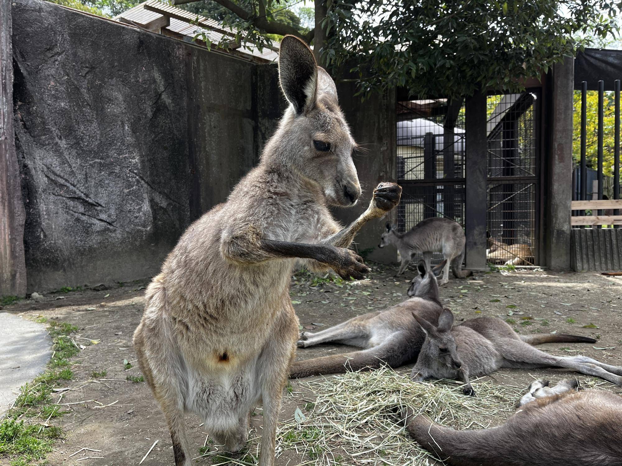 ドリーム (2).jpg